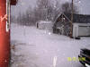 raindance farms snow picture 3