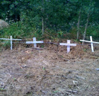 Raindance Farms animals...we remember