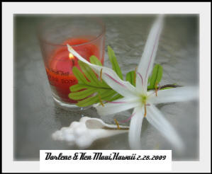 Windchill memorial candle darlene b