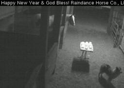 Raindance Farms barn cam Windchill memorial candle burning