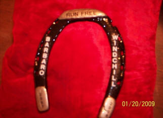 Bararo and Windchill horse shoe